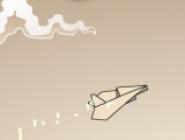 Flight