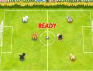 Pet Soccer