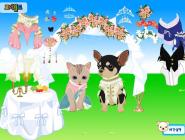 Pet Wedding Dress up